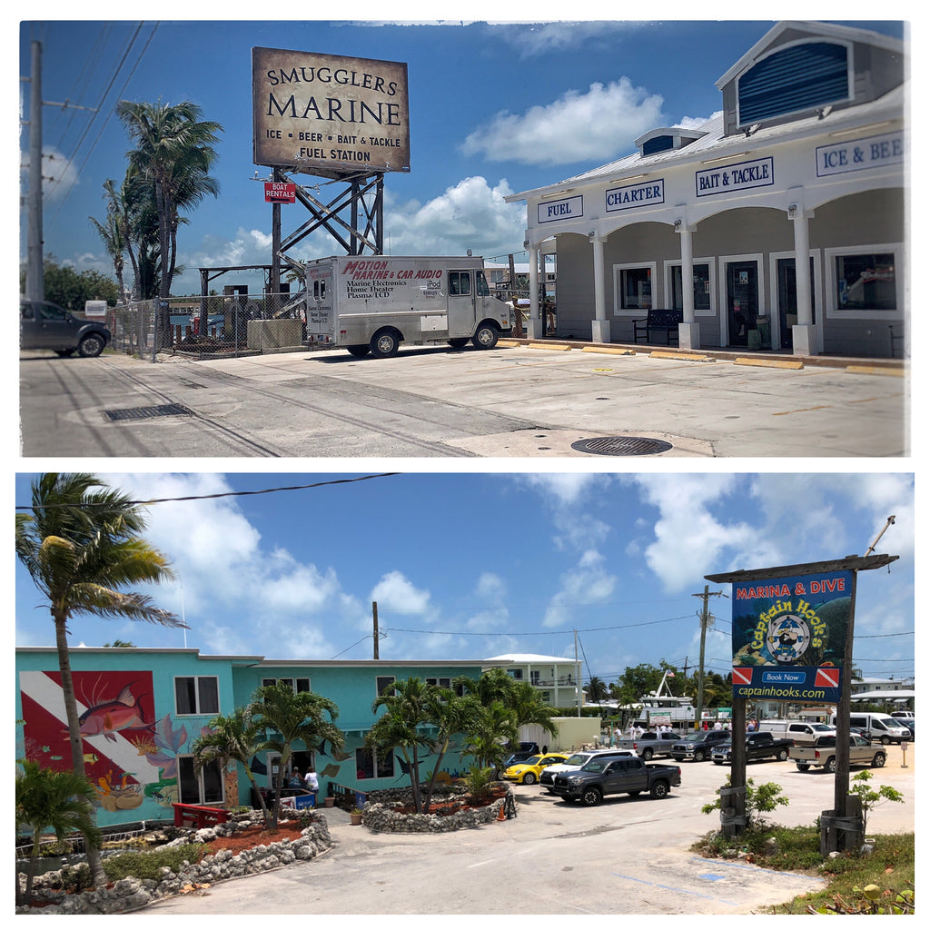 Weedline In The Florida Keys